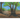 Little Seed's Journey