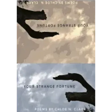 Your Strange Fortune