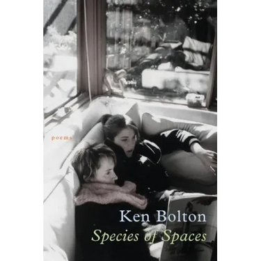 Species of Spaces