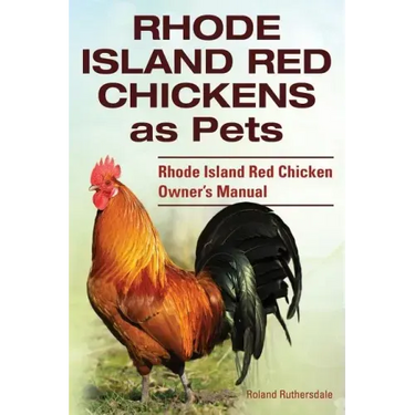 Rhode Island Red Chickens as Pets. Rhode Island Red Chicken Owner's Manual