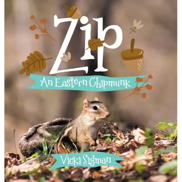 Zip: An Eastern Chipmunk