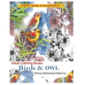 Coloring Book for Adult: Owls & Birds: Relaxation Designs to Color!