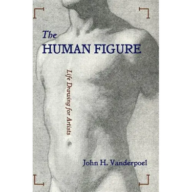 The Human Figure