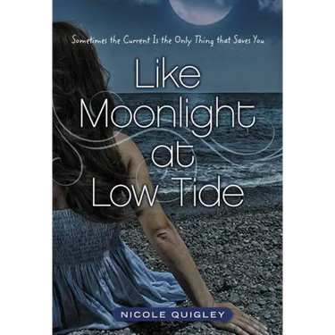 Like Moonlight at Low Tide Softcover
