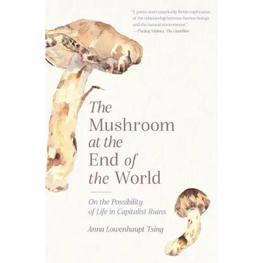 The Mushroom at the End of the World: On the Possibility of Life in Capitalist Ruins