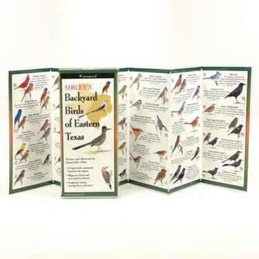 Sibley's Backyard Birds of Eastern Texas