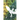 The Book of Chameleons