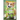 Learn About Corgis