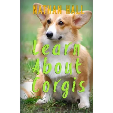 Learn About Corgis
