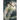 The Trial (Official Edition)