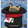 Houdini The Cat
