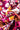 d4e97cbf-6791-415e-950e-83f277dff6d2-Max