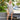 d4f3a0c4-2606-4628-b2b3-6cf6a833fafd-Max