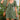 d51592e3-6457-458c-9efb-d9d1cda61b3b-Max-Origin