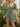 d51592e3-6457-458c-9efb-d9d1cda61b3b-Max-Origin