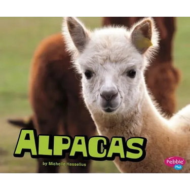 Alpacas