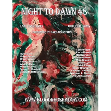 Night to Dawn 48