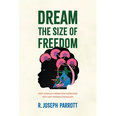 Dream the Size of Freedom: How African Liberation Mobilized New Left Internationalism