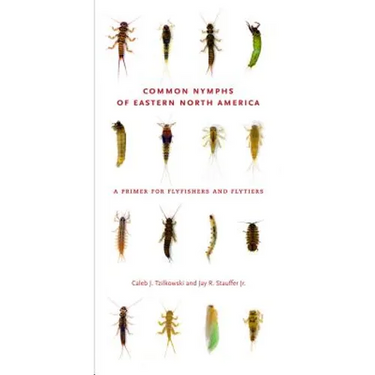 Common Nymphs of Eastern North America: A Primer for Flyfishers and Flytiers