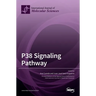 P38 Signaling Pathway