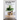Feng Shui Home For Adults: Everything You Should To Know About Feng Shui: Complete Guide To Feng Shui Home For Beginners