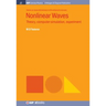Nonlinear Waves: Theory, Computer Simulation, Experiment