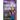 The Girl with the Lightning Brain: Book 1