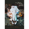 You Bury the Birds in My Pelvis