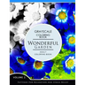 Wonderful Garden Volume 2: Flower Grayscale coloring books for adults Relaxation (Adult Coloring Books Series, grayscale fantasy coloring books)