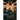 The Shadow Knight Warrior: Illusion of Time