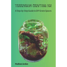 Terrarium Crafting 101: A Step-by-Step Guide to DIY Green Spaces