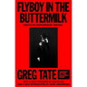 Flyboy in the Buttermilk: Essays on Contemporary America