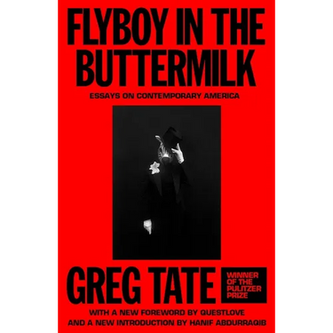 Flyboy in the Buttermilk: Essays on Contemporary America