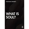 What Is Soul?