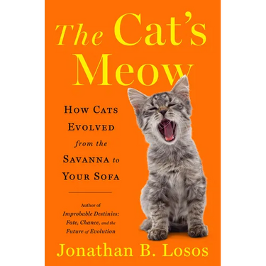 The Cat's Meow: How Cats Evolved from the Savanna to Your Sofa