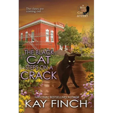The Black Cat Steps on a Crack