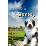 My Name Is Henley: My Life and Times as a Rescued Dog