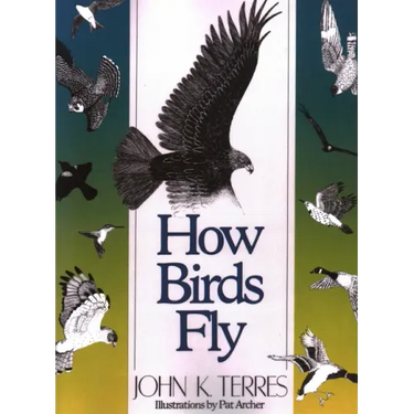 How Birds Fly