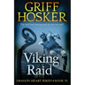 Viking Raid