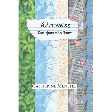Witness: One American Year
