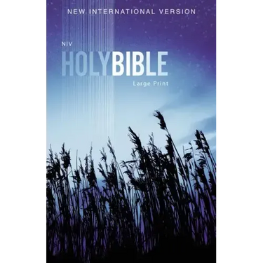 Outreach Bible-NIV
