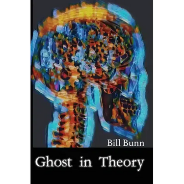 Ghost In Theory