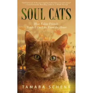 Soul Cats: How Our Feline Friends Teach Us to Live from the Heart