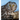 Owls: The Majestic Hunters