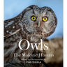 Owls: The Majestic Hunters