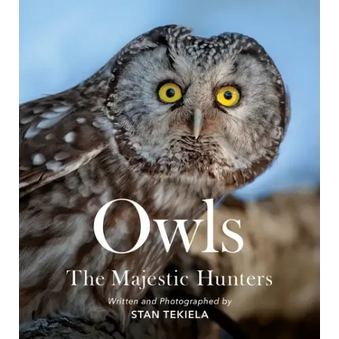 Owls: The Majestic Hunters