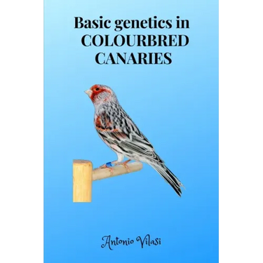 Basic genetics in COLOURBRED CANARIES