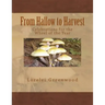 From Hallow to Harvest: Celebrations for the Wheel of the Year