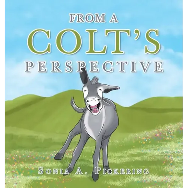 From a Colt's Perspective