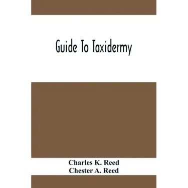 Guide To Taxidermy